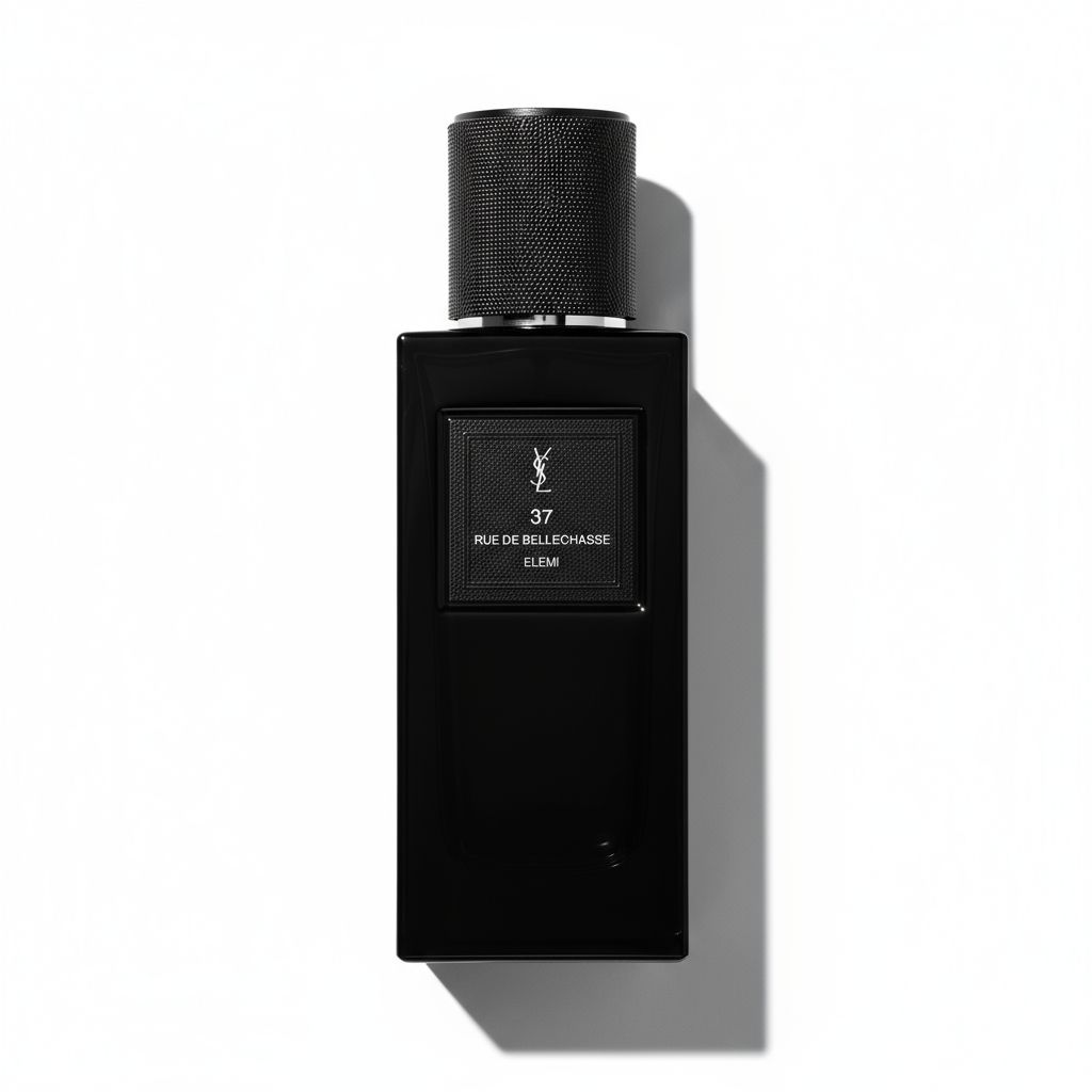 37 RUE DE BELLECHASSE